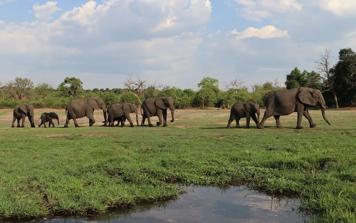 Chobe National Park in Botswana