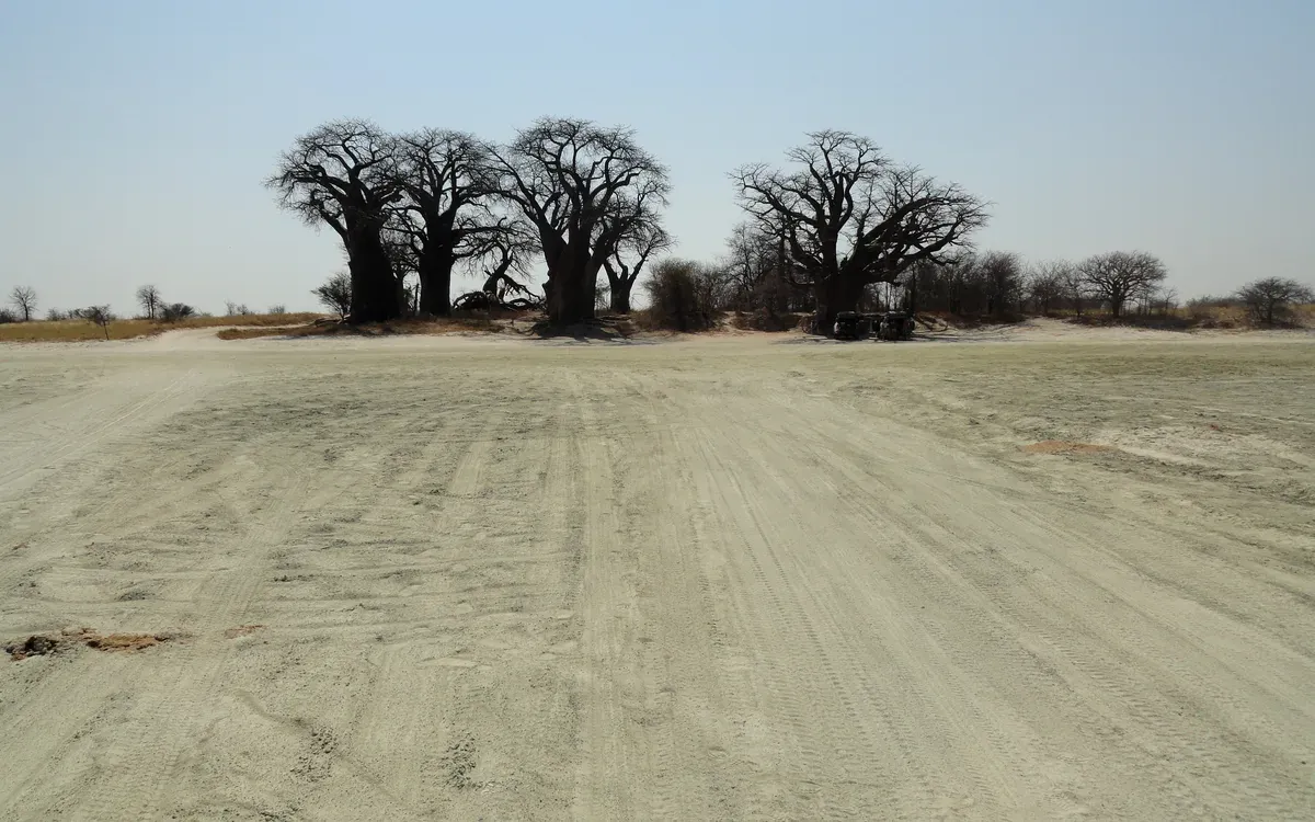 Nxai Pan National Park in Botswana